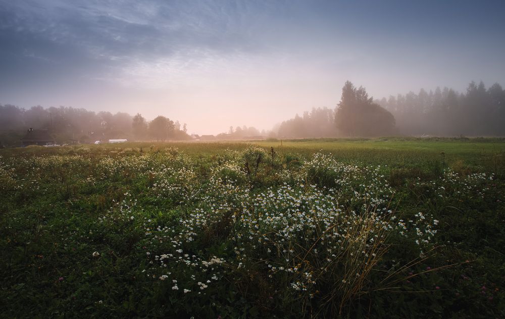 Photograph by Зеленько Дмитрий