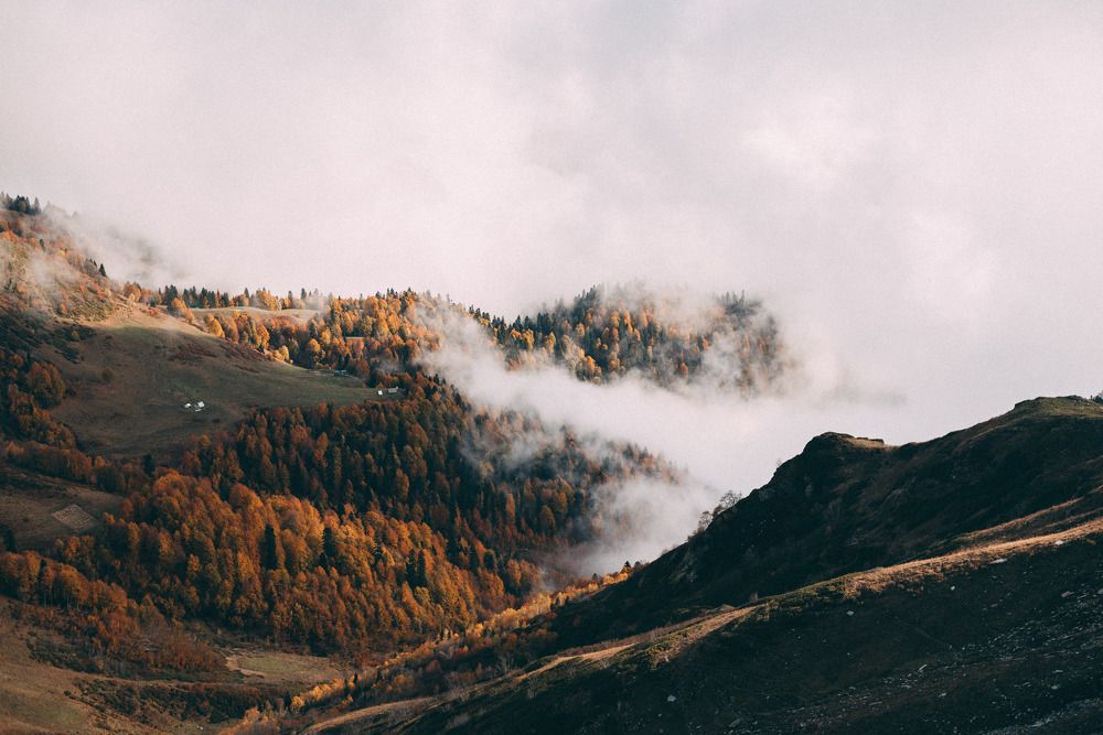 Photograph by Margarita