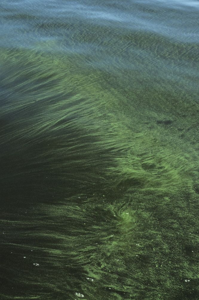 Photograph by Екатерина Хозяшева