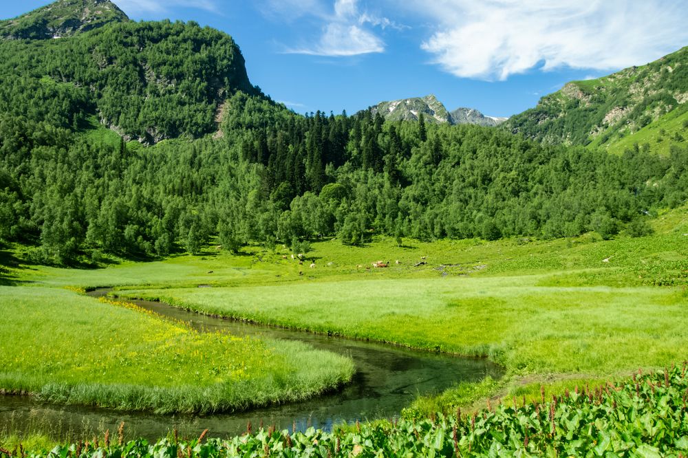 Photograph by R Vladimir