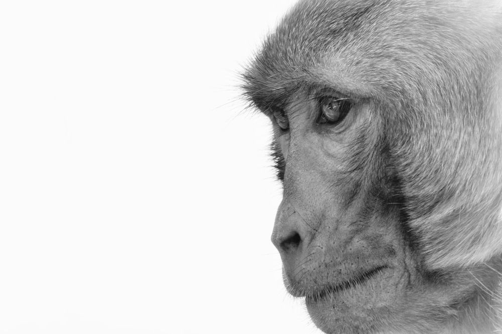 Фотография автора Washiful Majid