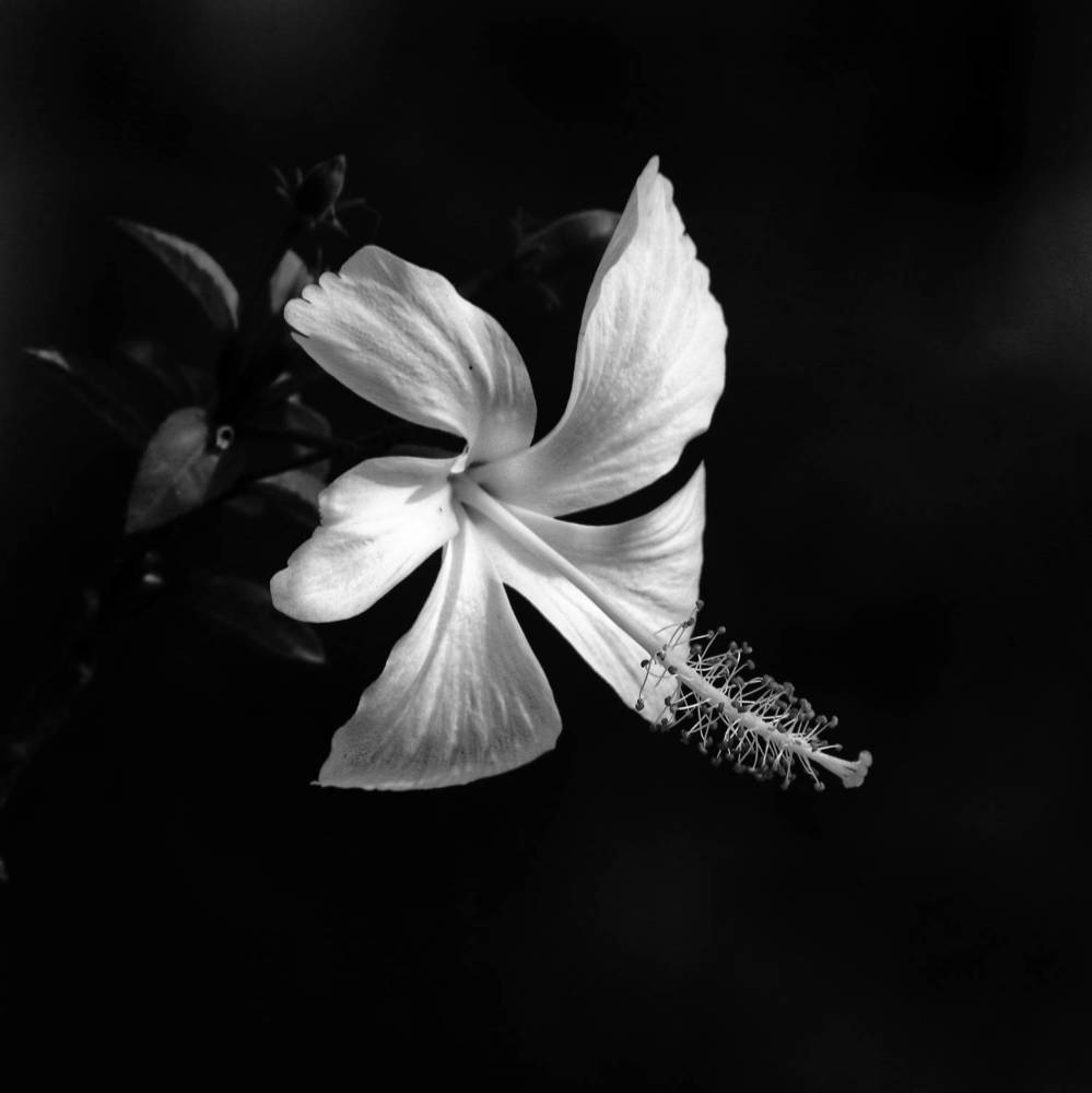 Фотография автора Washiful Majid