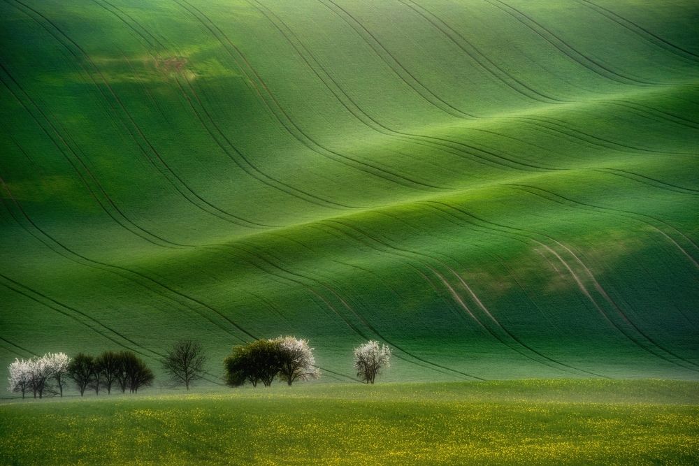 Photograph by Василий Яковлев