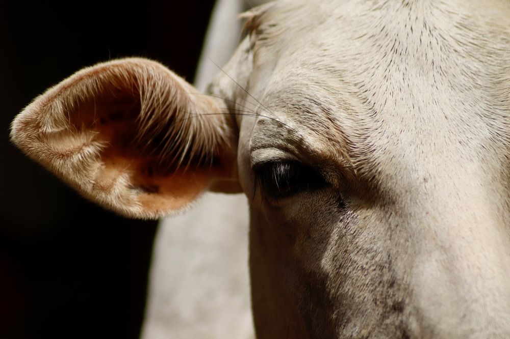 Фотография автора Washiful Majid