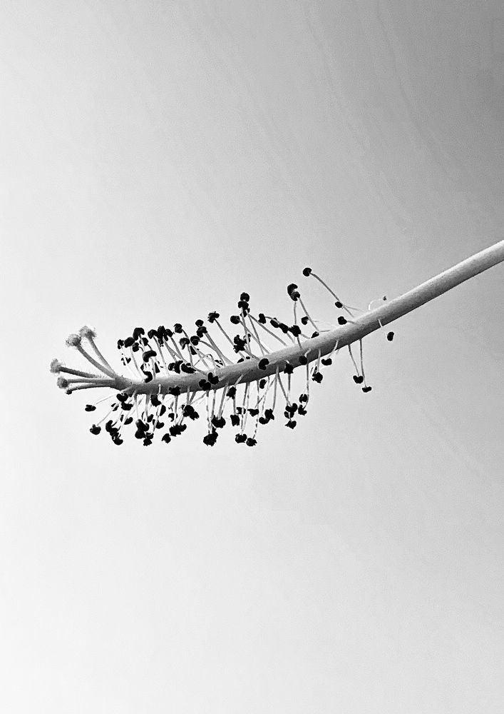 Фотография автора Washiful Majid