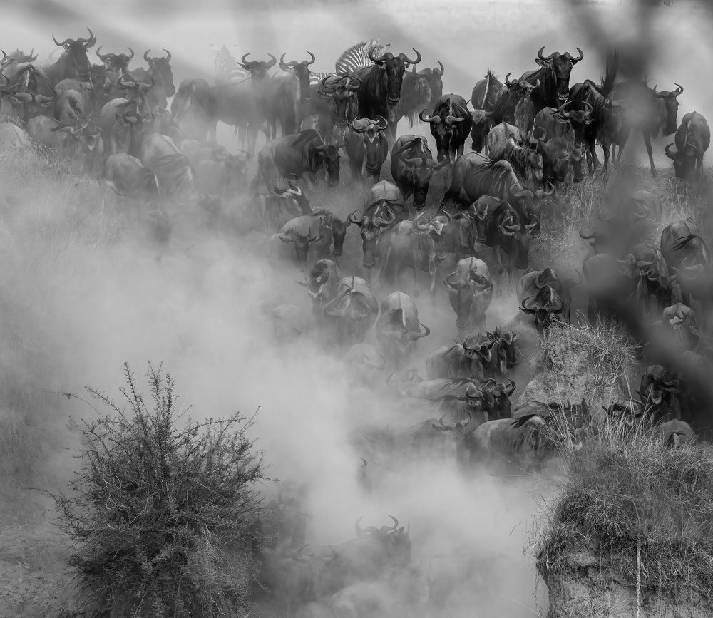 Фотография автора Sajeev Krishnan