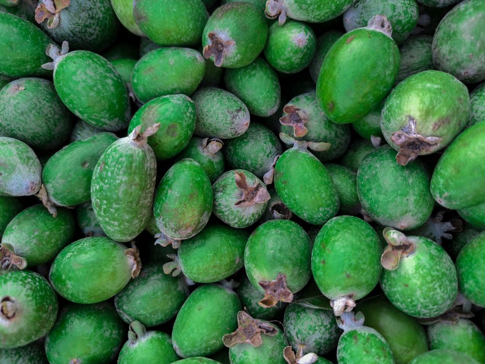 Photograph by Дина Горбачёва