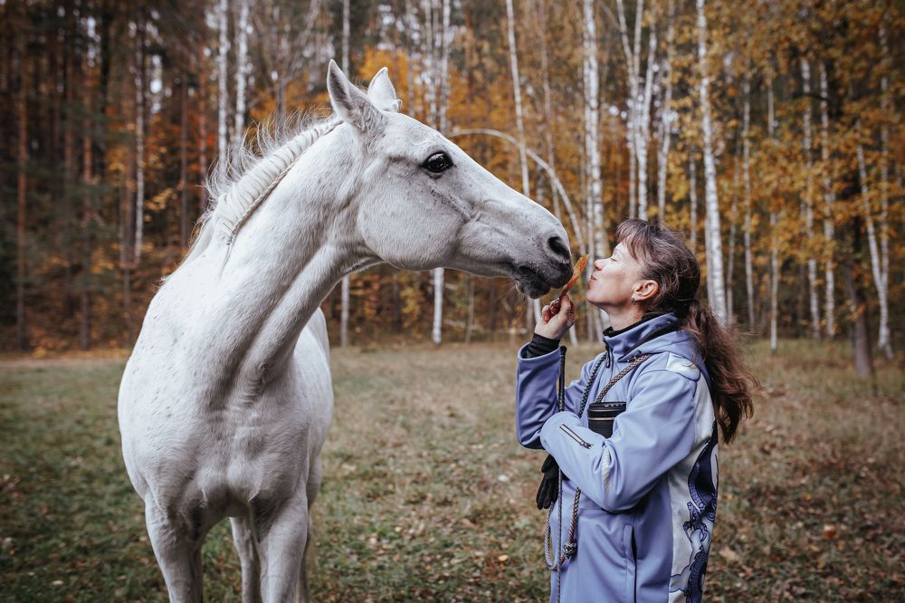 Photograph by Ritus20018