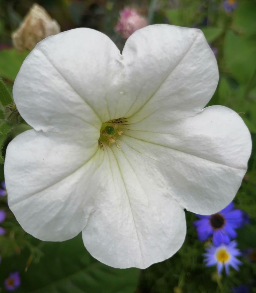 Photograph by Наталия