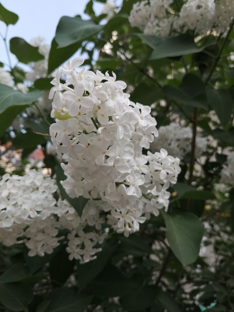 Photograph by Наталия