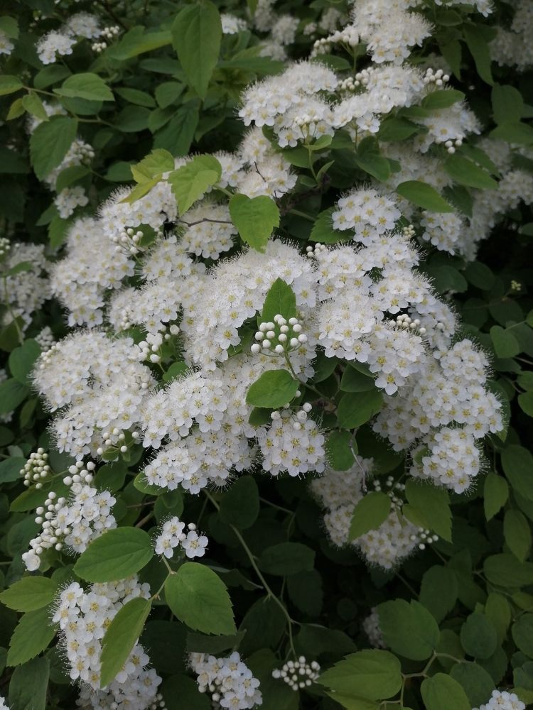 Photograph by Наталия