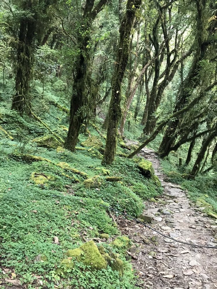 Фотография автора Gulnara