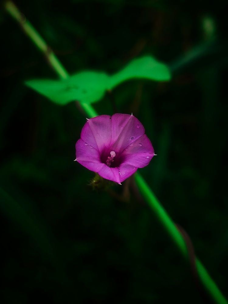 Photograph by Rutuja Shinde