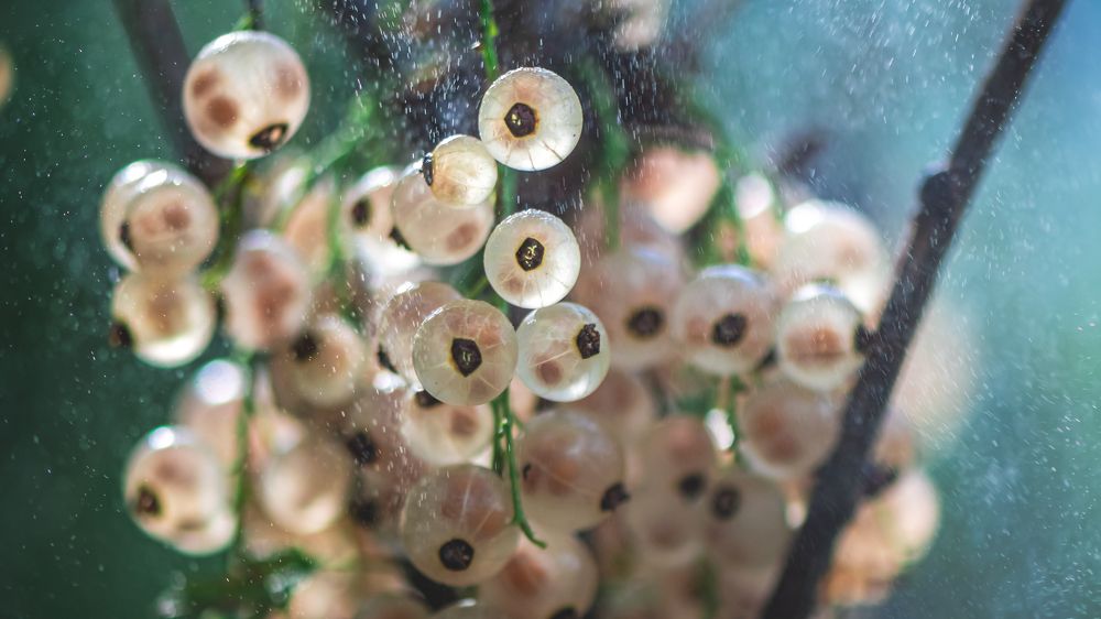 Photograph by Ольга Ильина