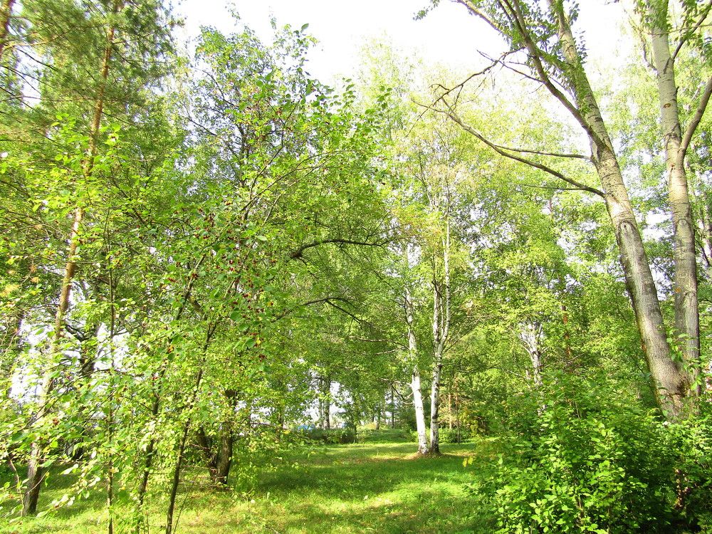 Photograph by Николай Худяков