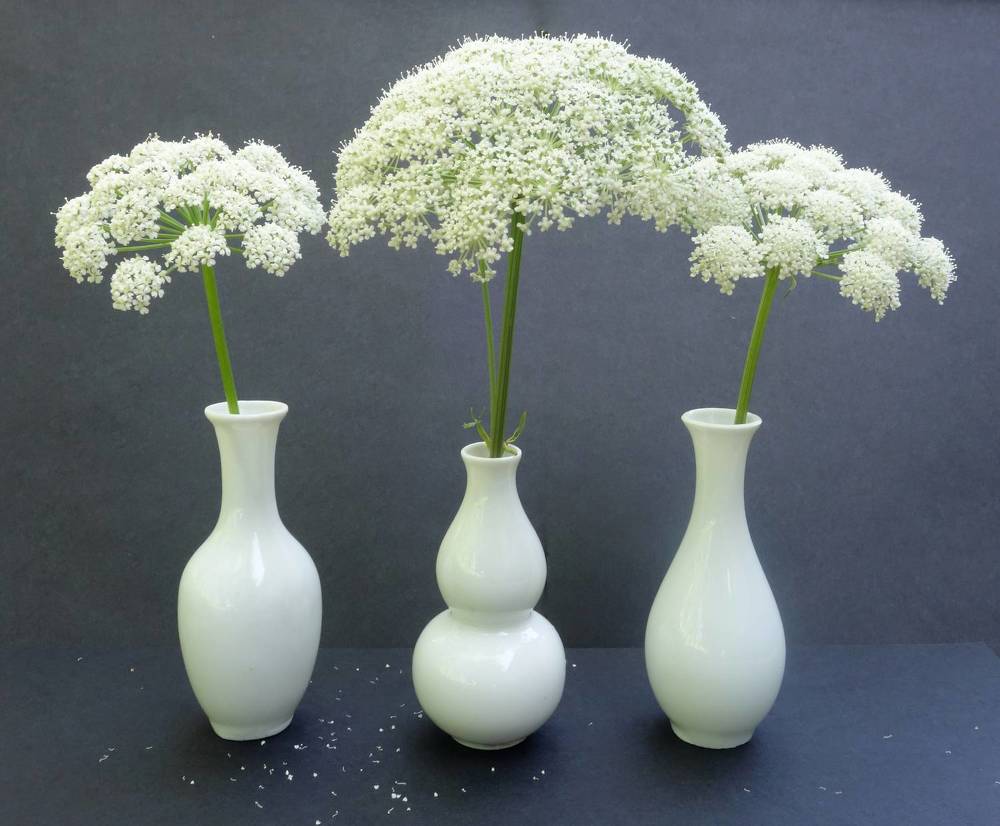 Photograph by Ионова Татьяна