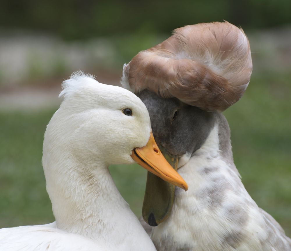 Photograph by Коноплёва Людмила Денисовна