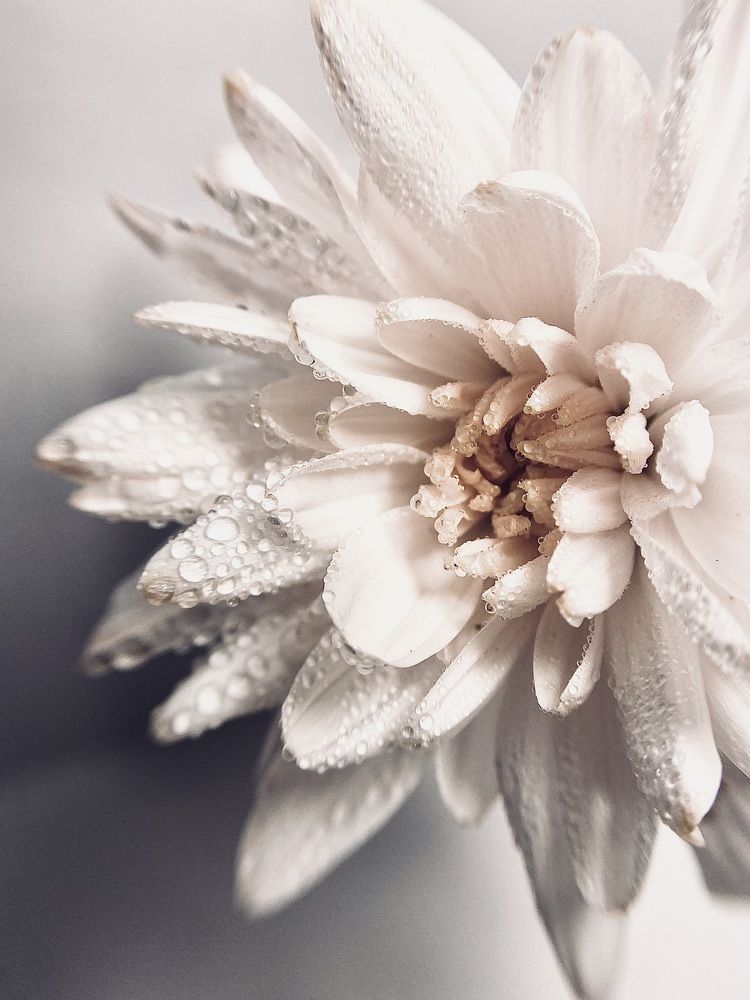 Фотография автора Алена Алена