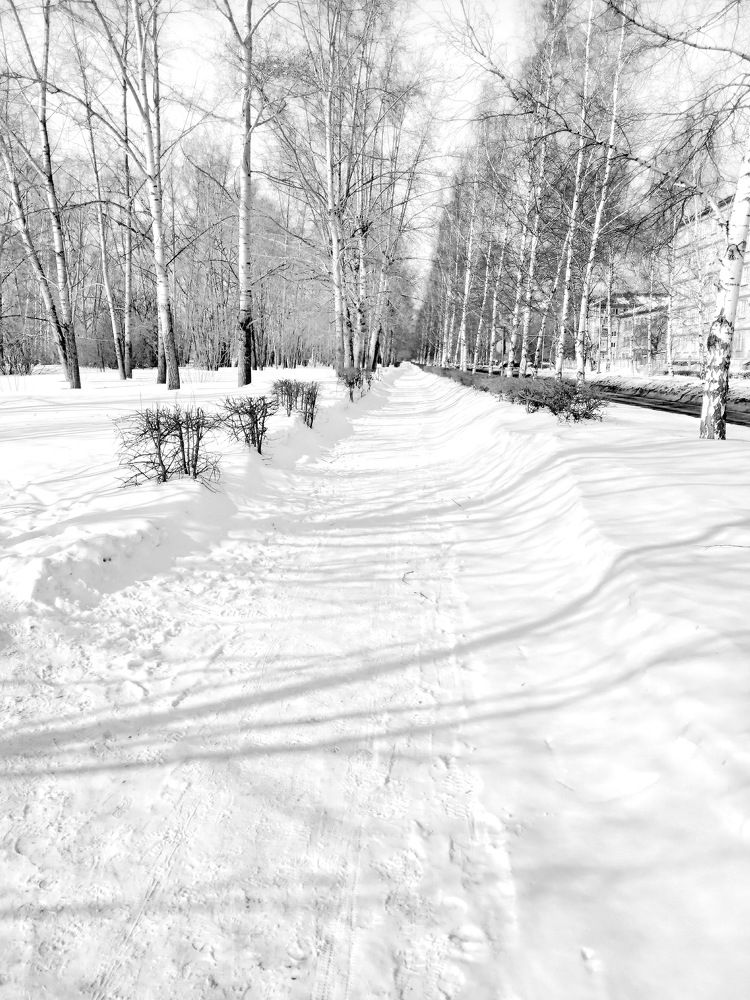 Photograph by НИНА АВЕРЬЯНОВА