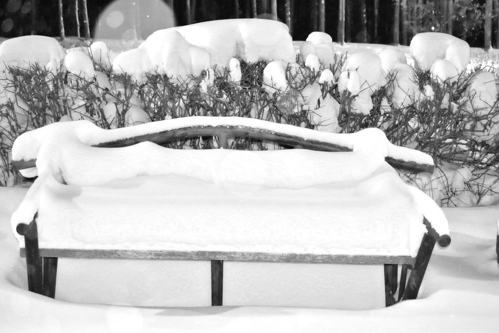 Photograph by НИНА АВЕРЬЯНОВА