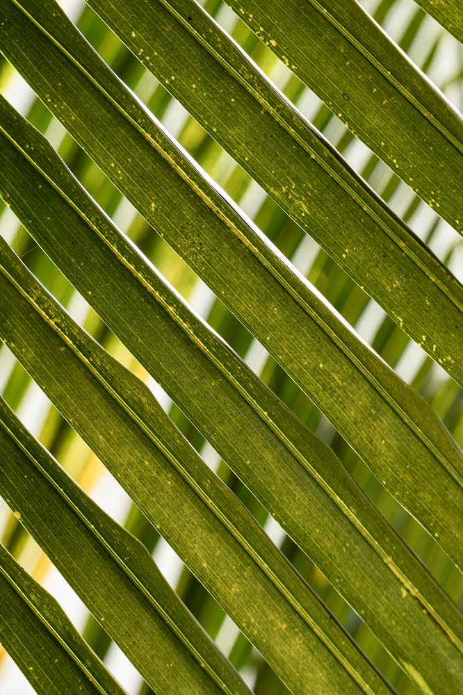 Photograph by Irina Ostapenko (Nepavlova)