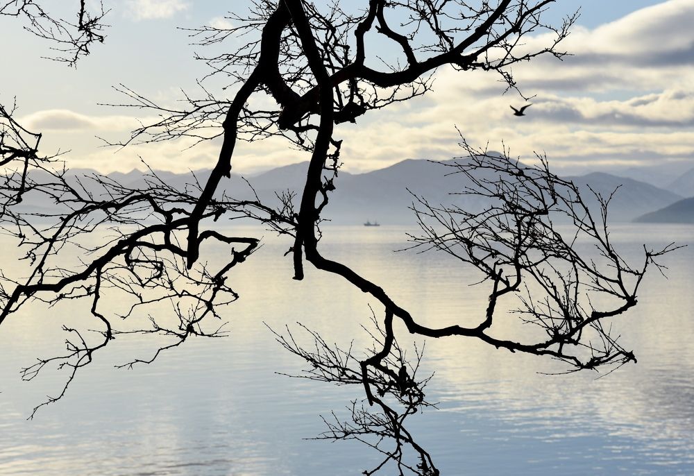 Photograph by Ольга Струкалина