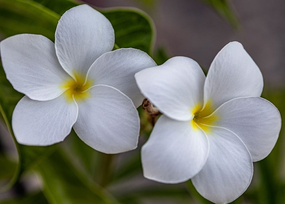 Photograph by Irina Ostapenko (Nepavlova)