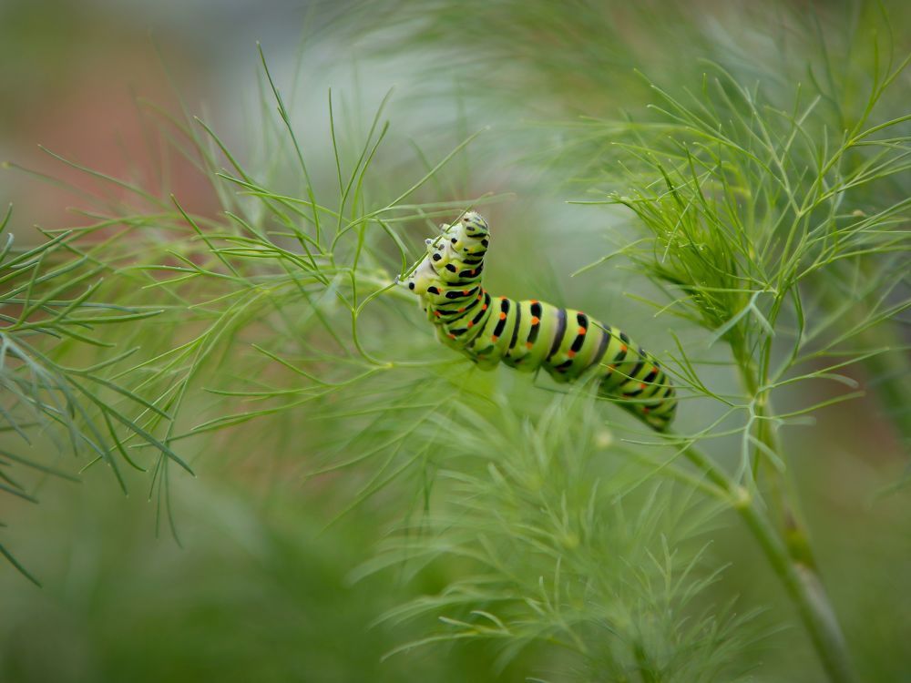 Photograph by Екатерина Слепнева
