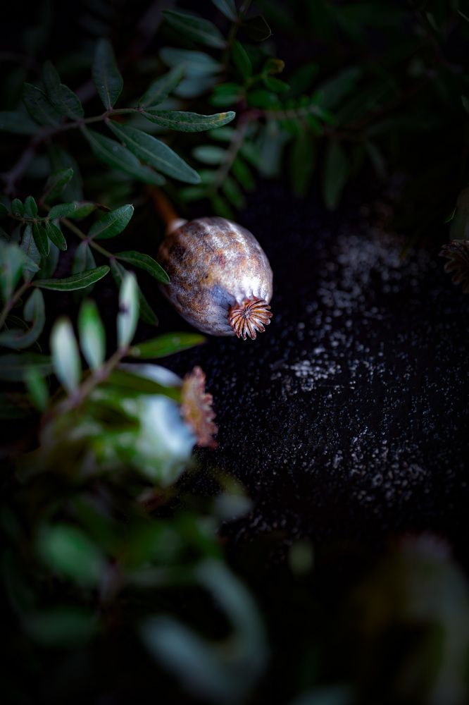 Photograph by Екатерина Андрусенко