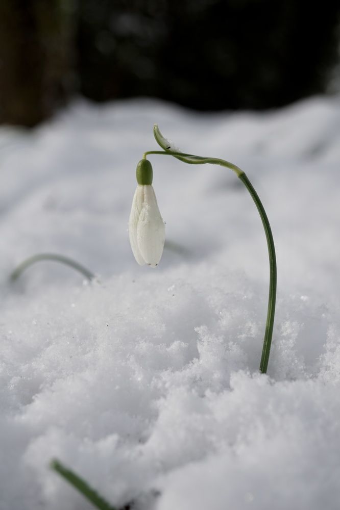 Фотография автора Liudmila Kiermeier