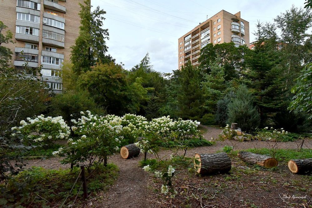 Photograph by Пётр Артемьев