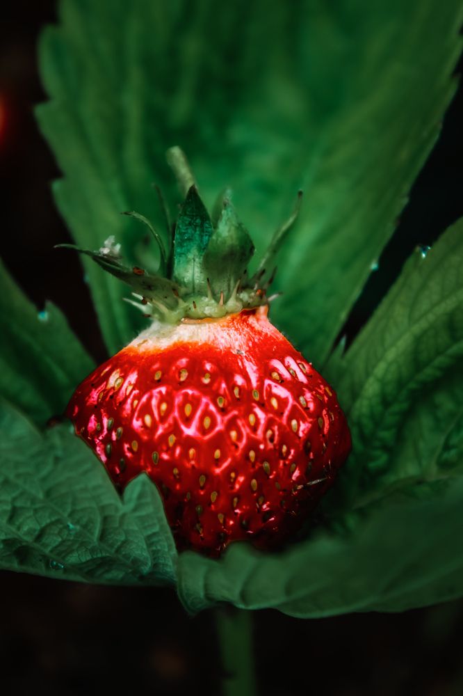 Photograph by Татьяна Слободчикова