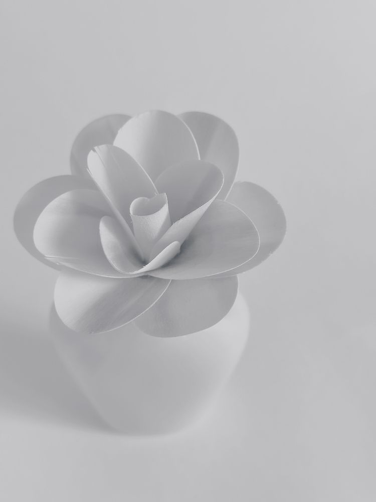 Фотография автора Юлия Косинова