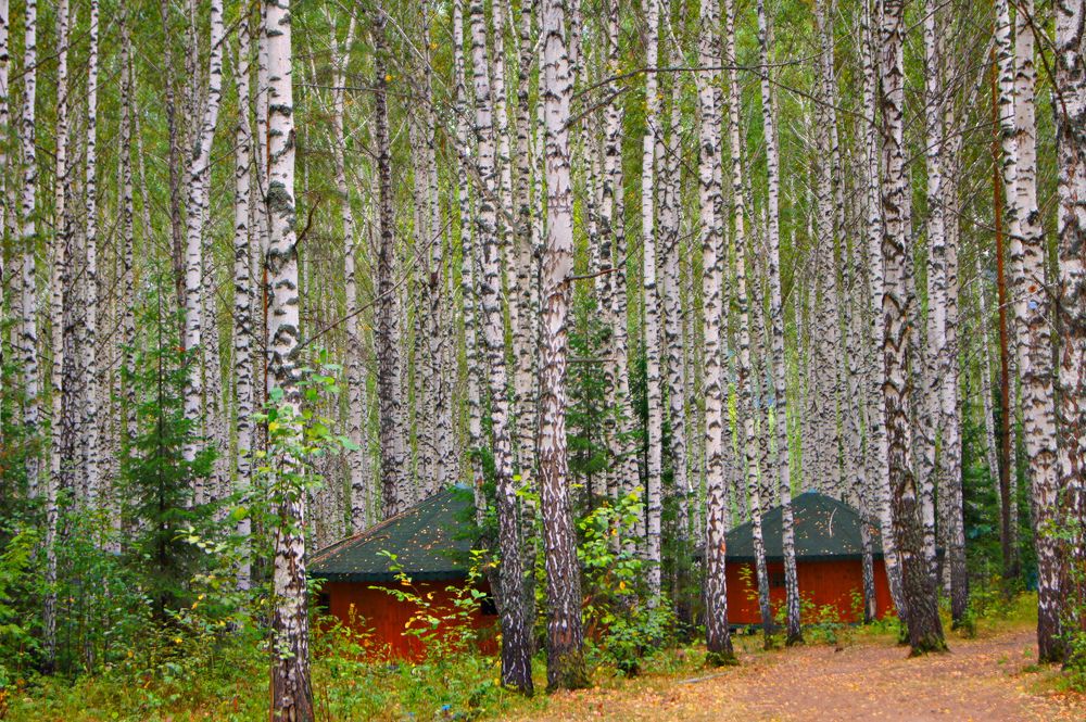 Photograph by Светлана Стрельцова