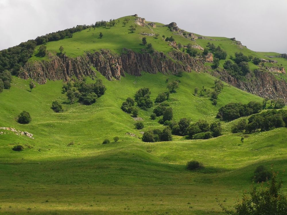 Photograph by Елена Акимова