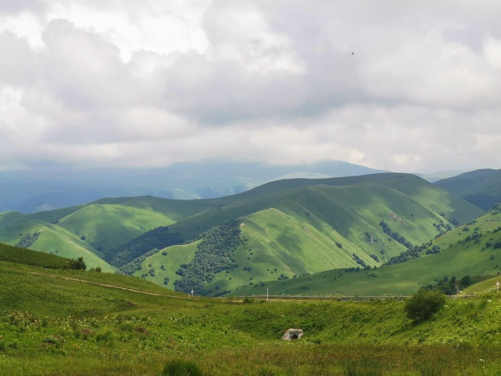 Photograph by Елена Акимова