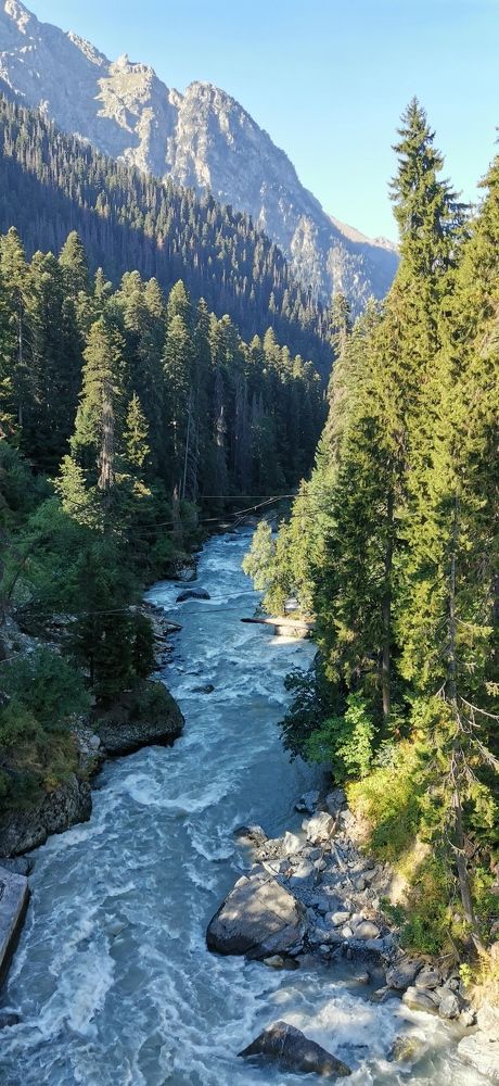 Photograph by Елена Акимова