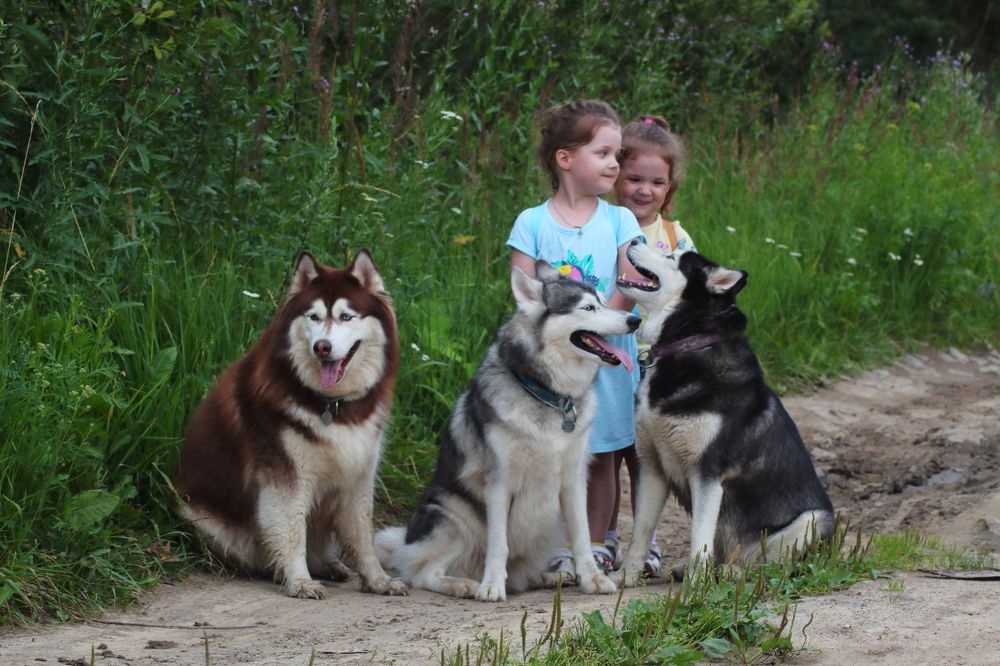 Photograph by Елена Наленч