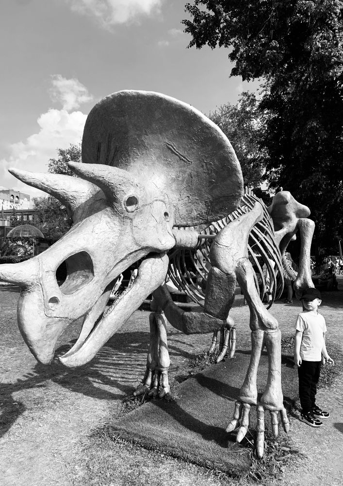 Парк Юрского периода