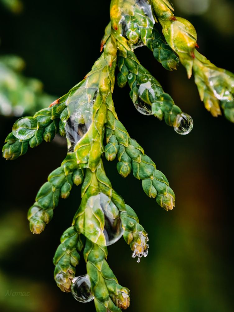 Photograph by Евгений Порсов