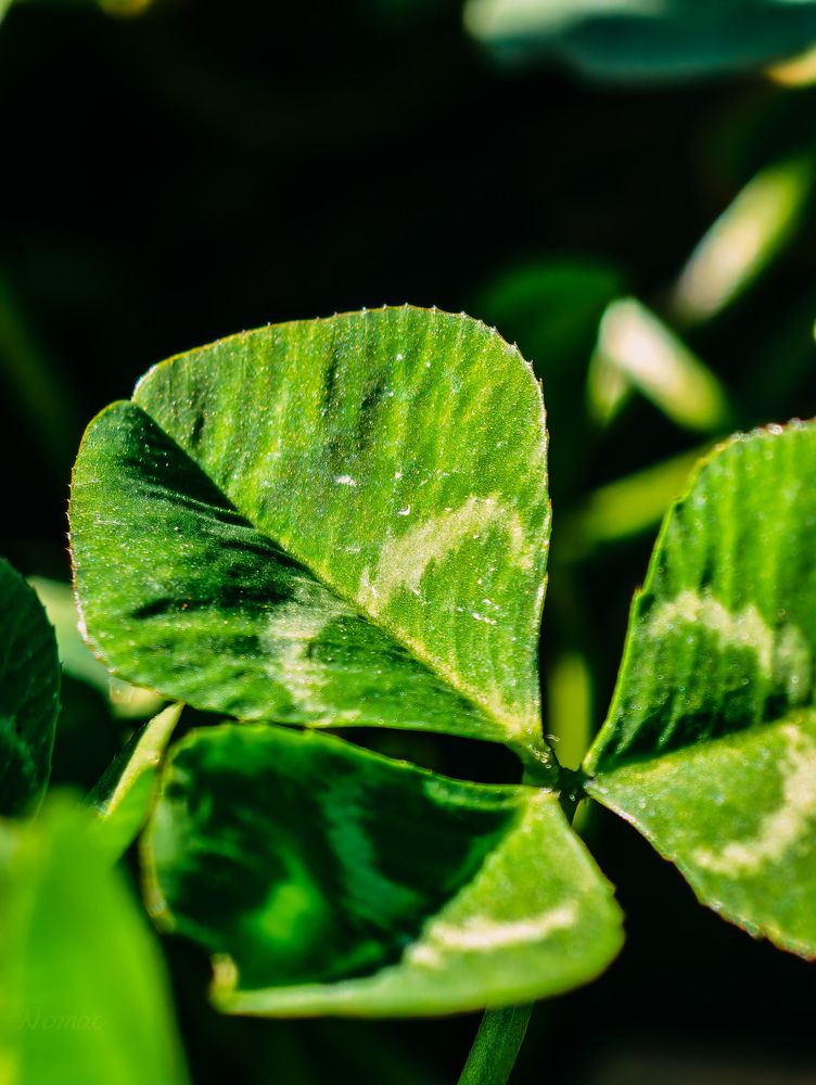 Photograph by Евгений Порсов