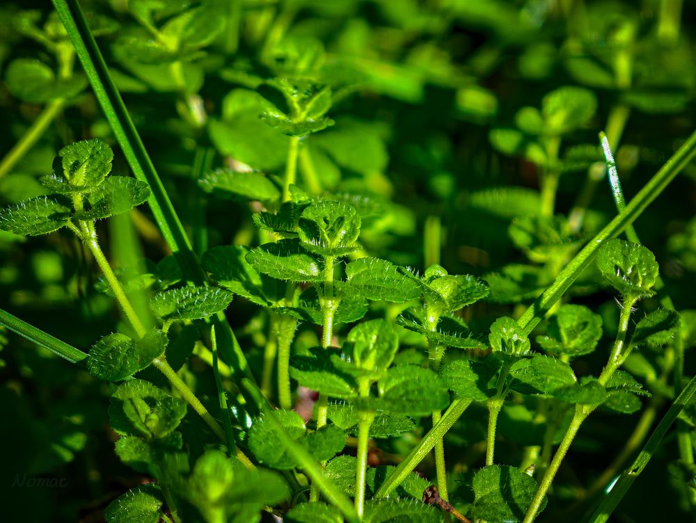 Photograph by Евгений Порсов