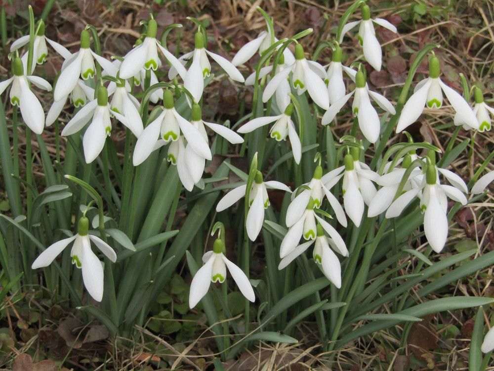 Photograph by Татьяна Смирнова