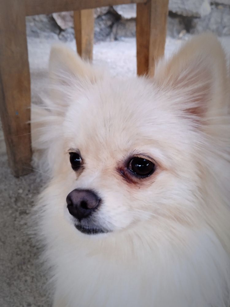 Photograph by Наталья Назаренко