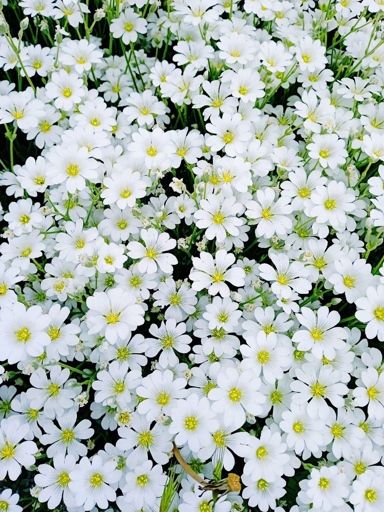 Photograph by Наталья Назаренко