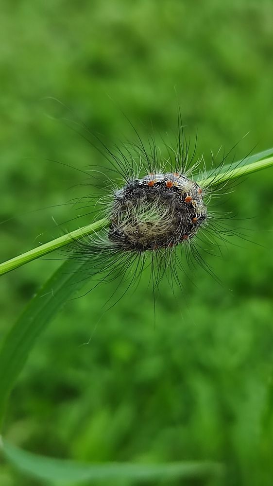 Photograph by Виолетта Клюева