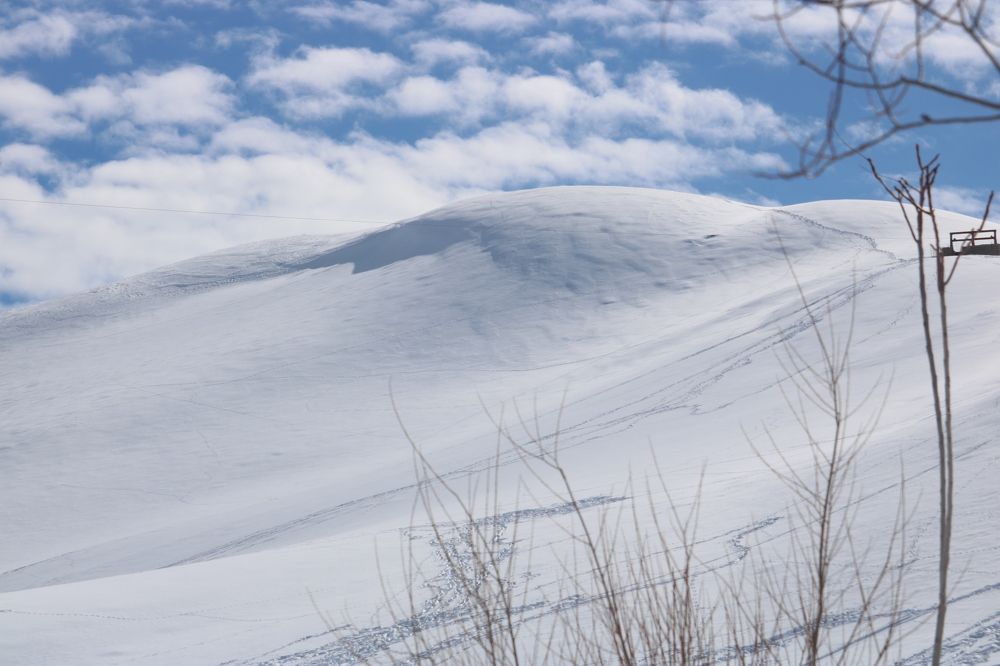 Photograph by Babak Akvan