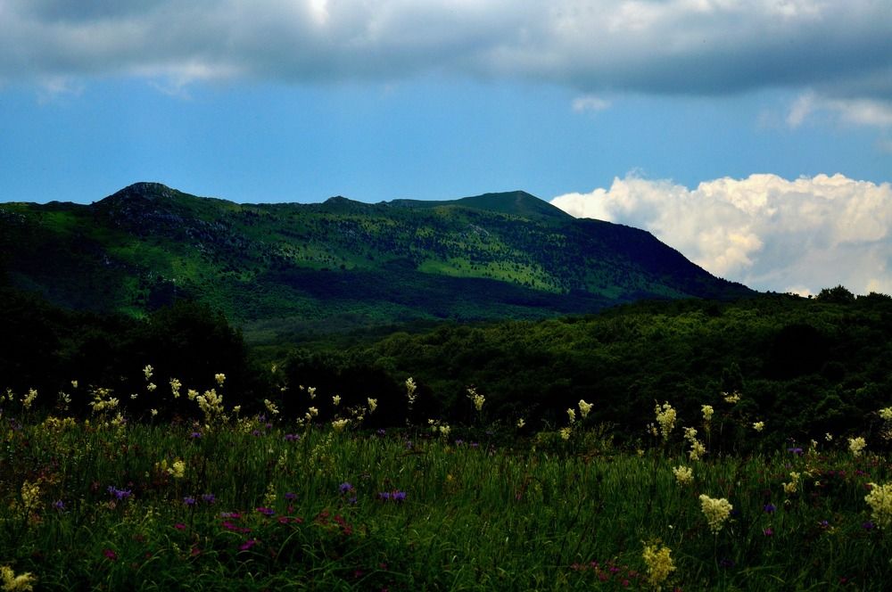 Чудесная даль