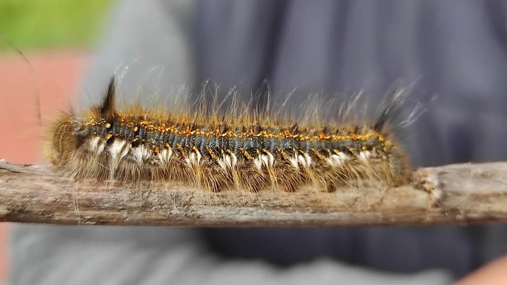 Photograph by Виолетта Клюева