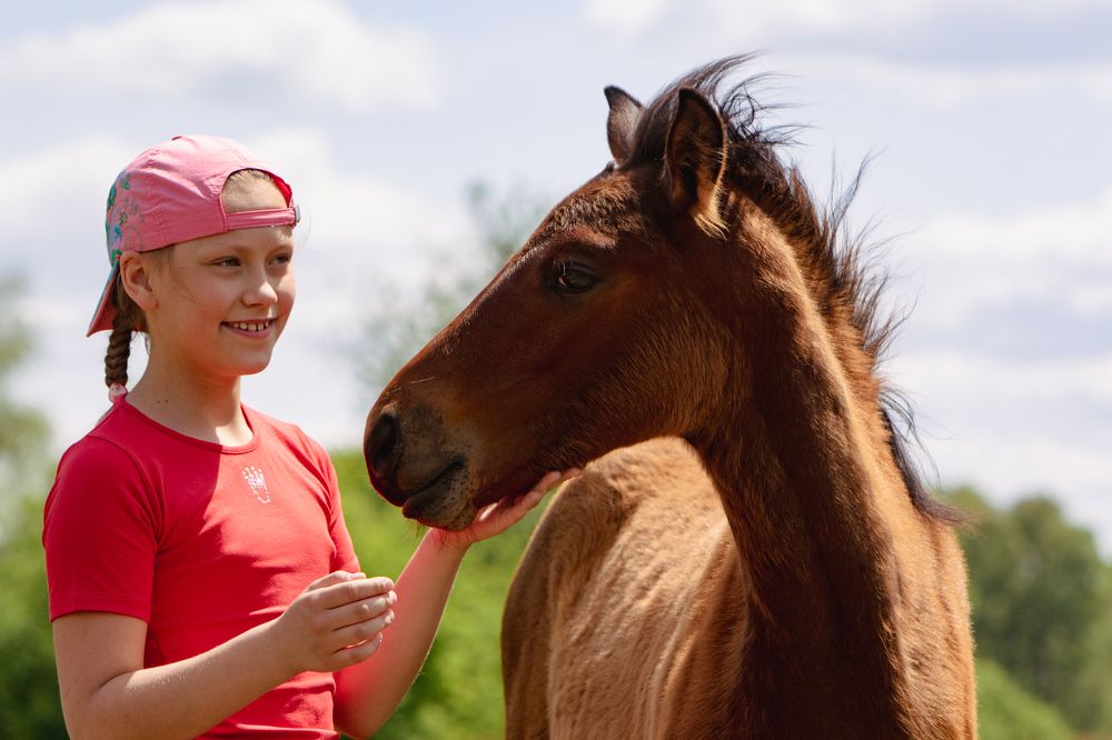 Photograph by Андрей Серый